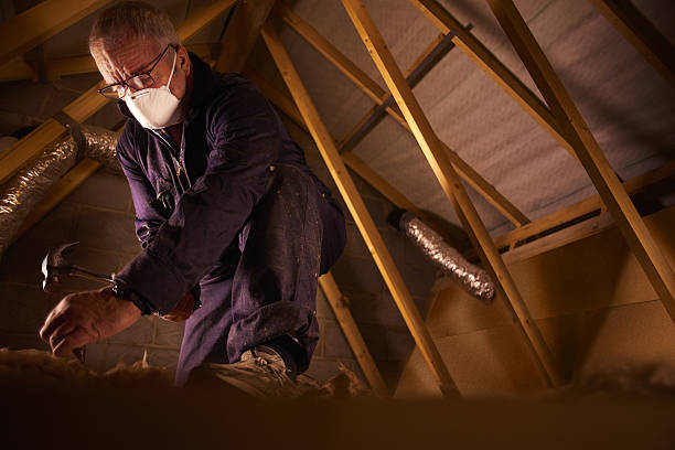 Best Spray Foam Insulation in Randolph, WI