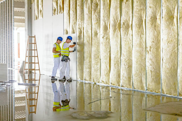Best Energy Efficiency Insulation in Randolph, WI